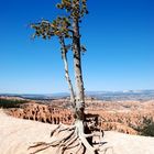 BRICE CANYON desolation