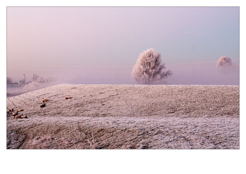 Brich an Du schönes Morgenlicht