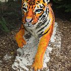 BRICKS Animals