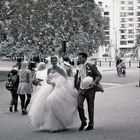 "bridal pair" - Hyde Park