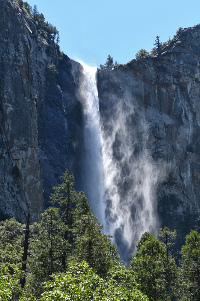 bridal veil