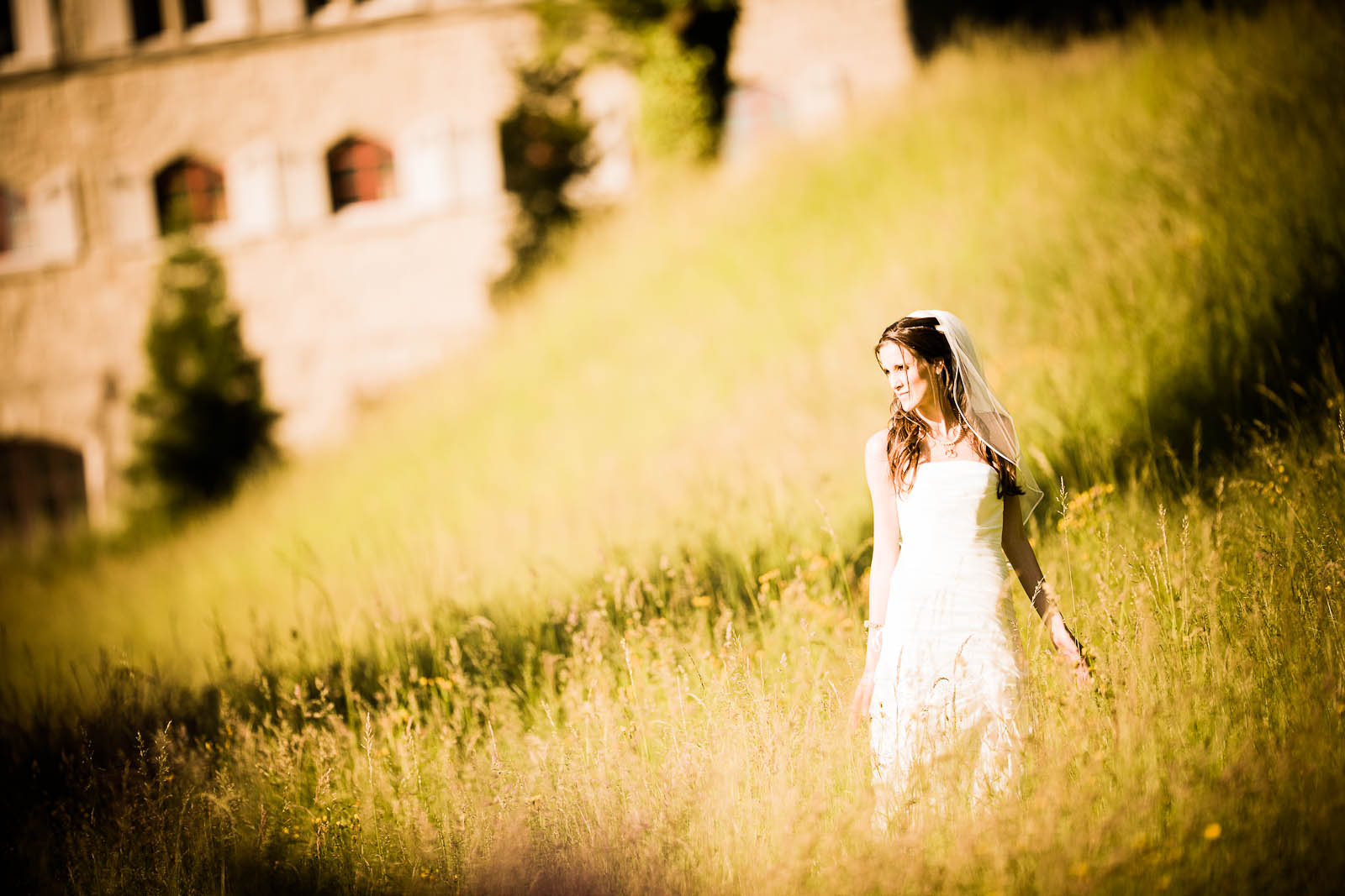 Bride in the meadow