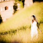 Bride in the meadow