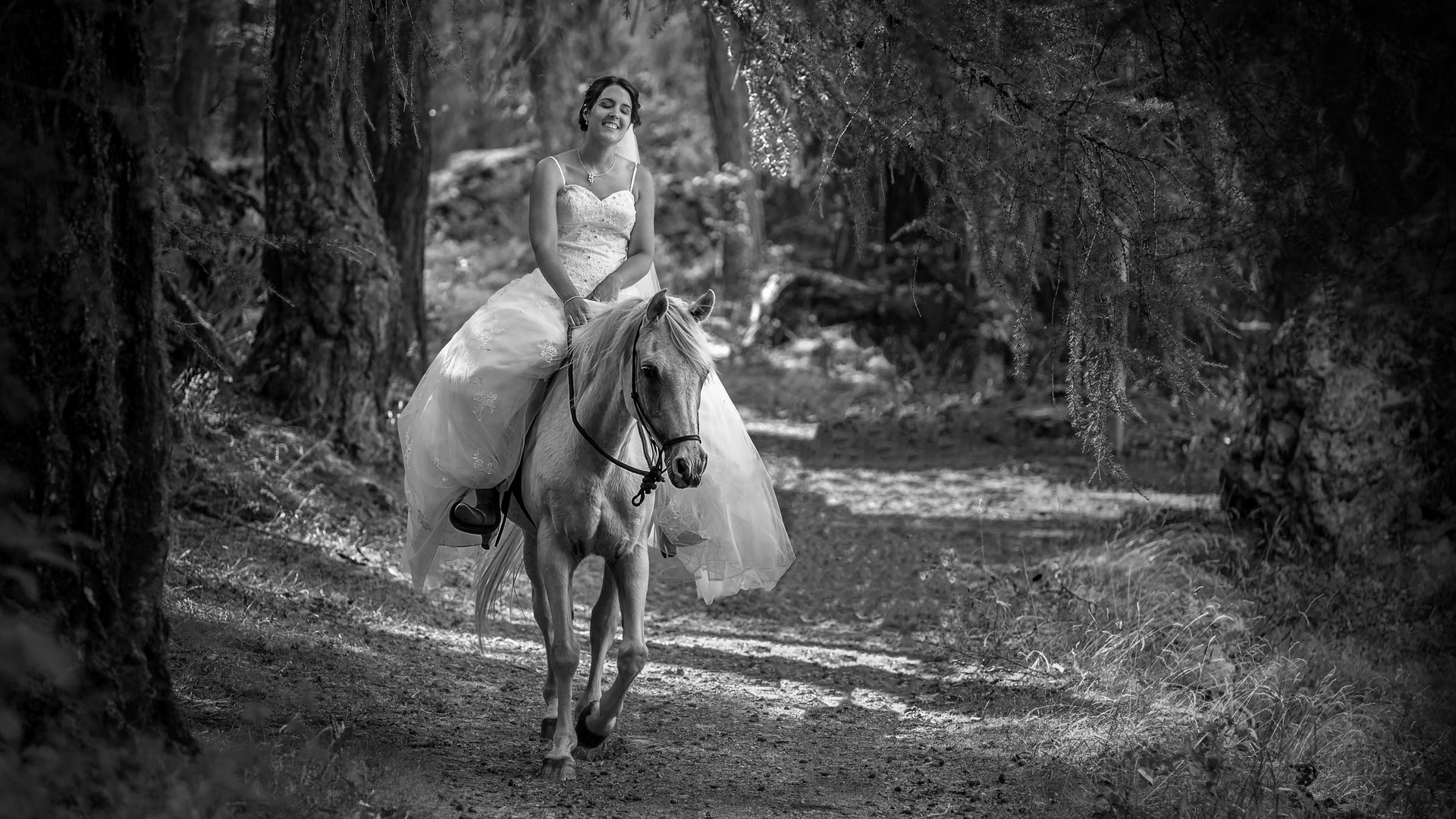 Bride on a horse