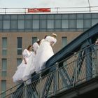 Brides on a bridge