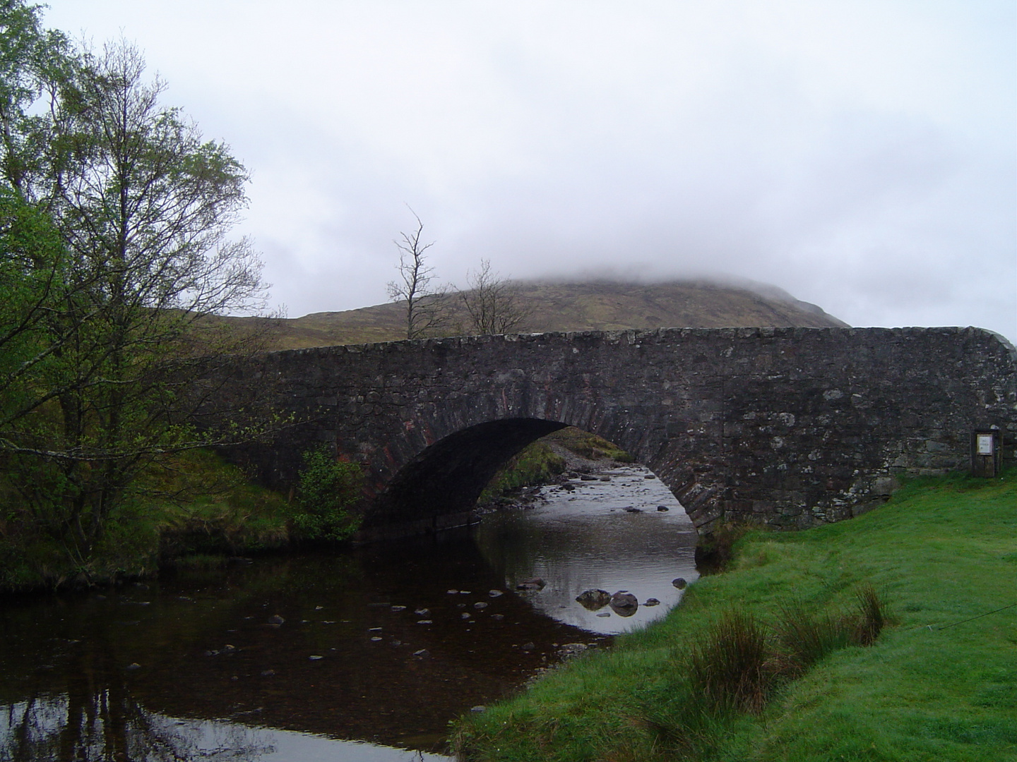 bridge and fog