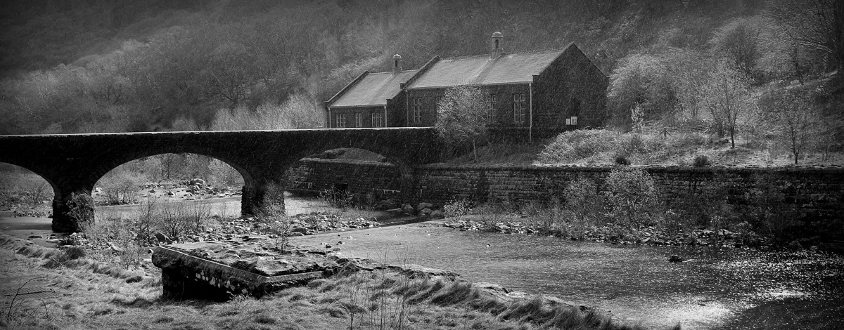 Bridge and House