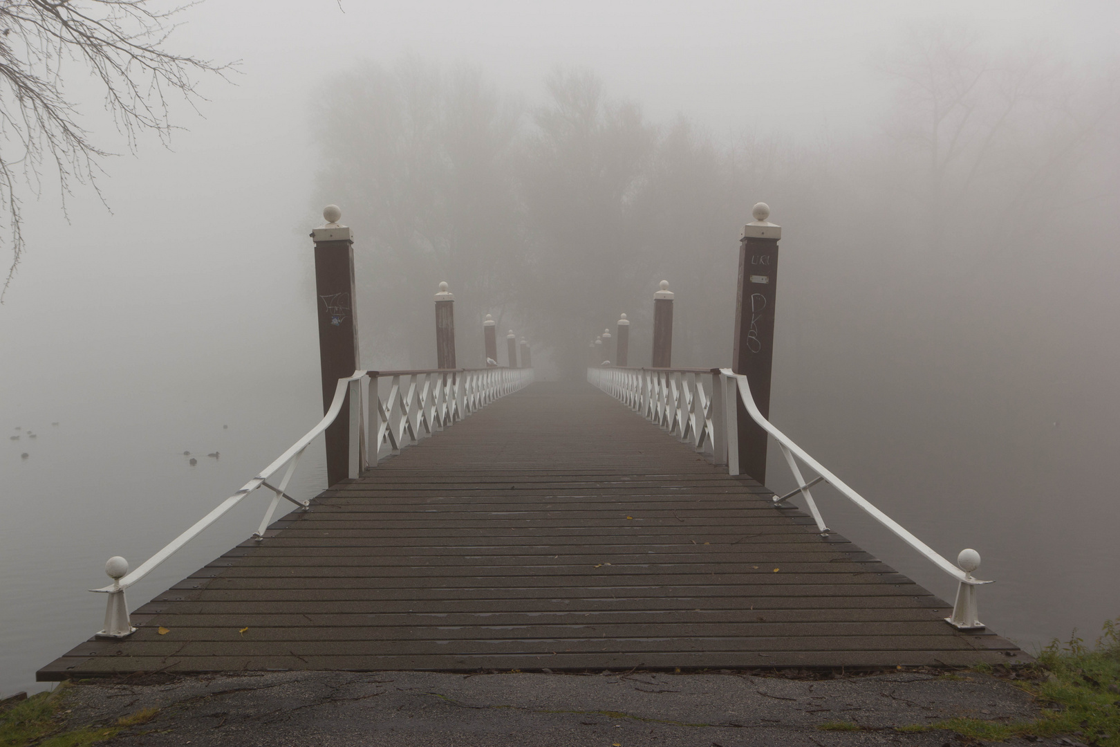 Bridge at Rotterdam