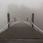 Bridge at Rotterdam