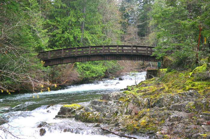 Bridge at the Falls