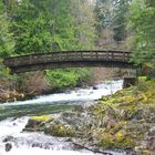 Bridge at the Falls