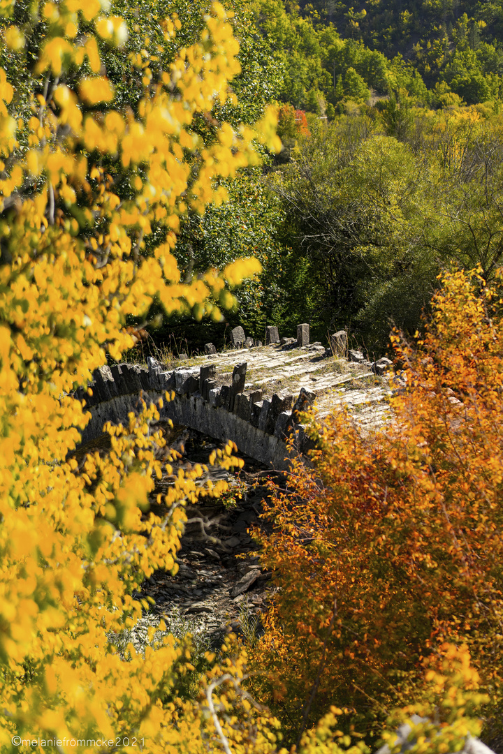 Bridge Captain Bear