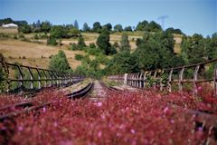 Bridge from to nature