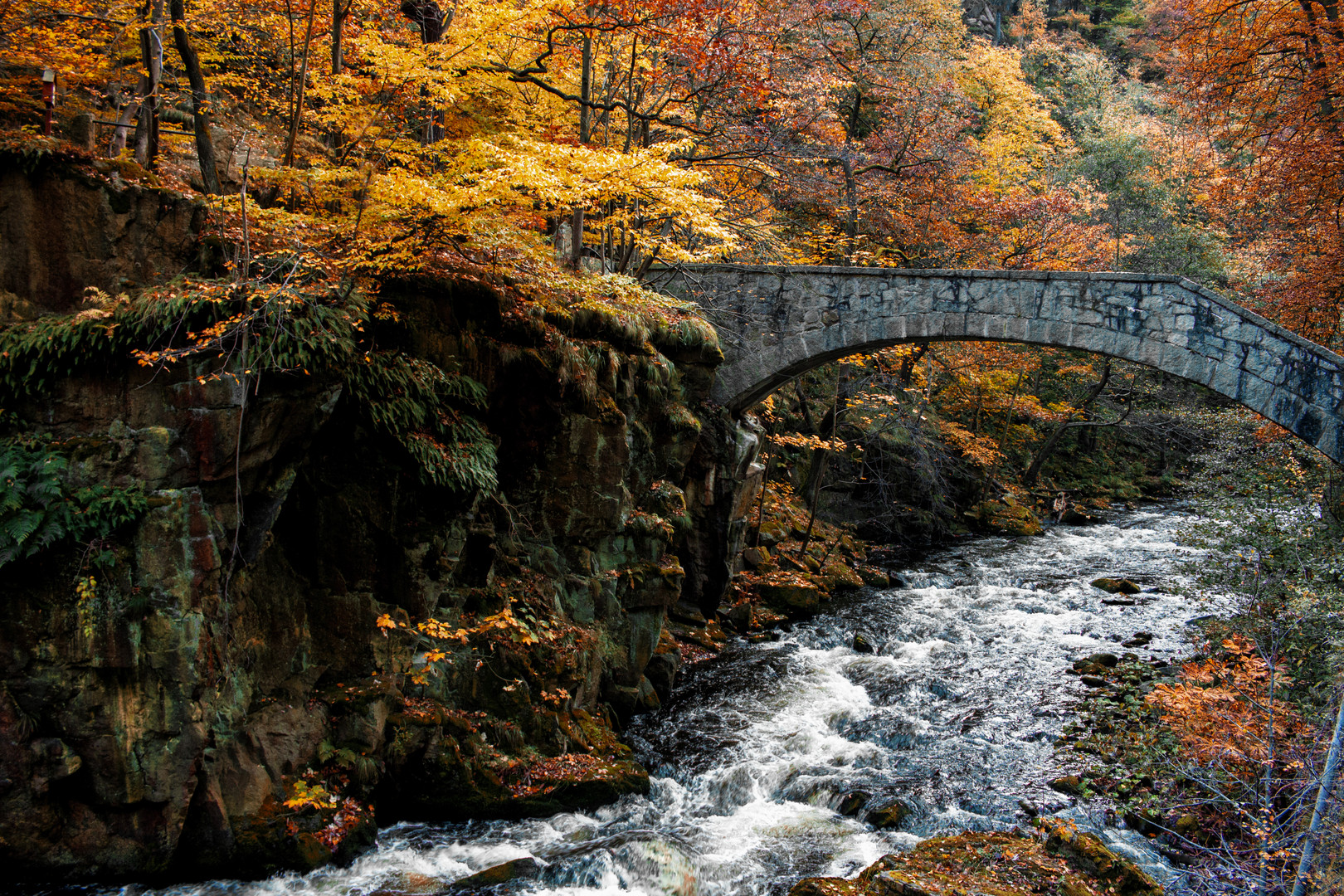 Bridge In Autumn