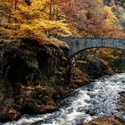Bridge In Autumn