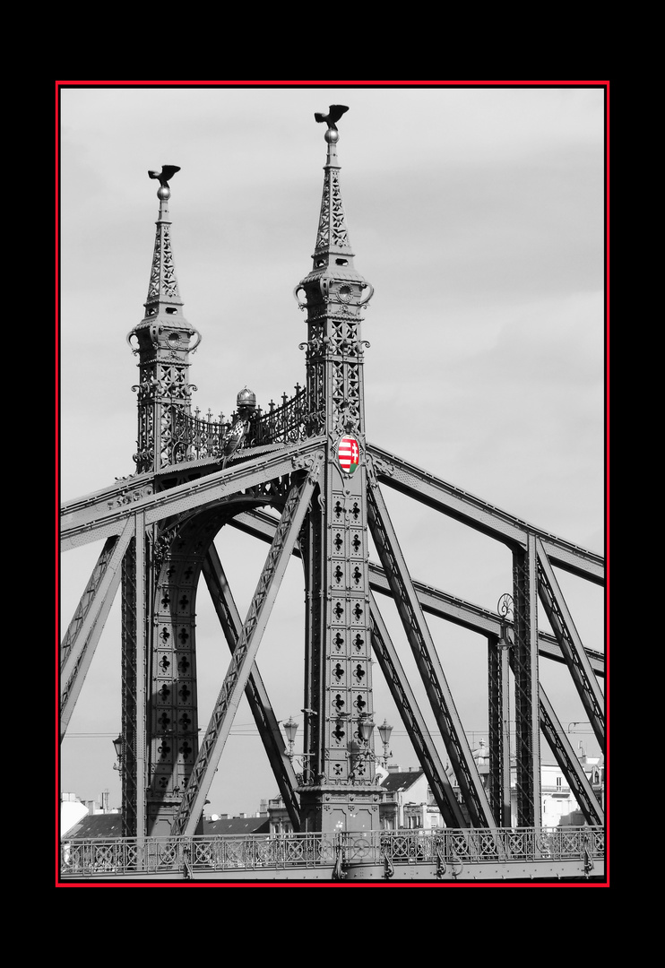 Bridge in Budapest