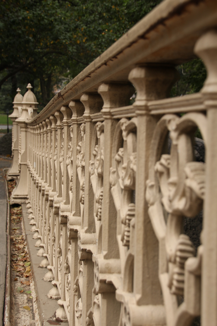 Bridge in Central Park, New York