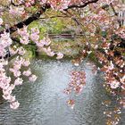 Bridge in Kyoto