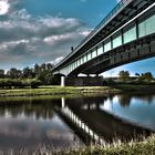 Bridge in Nature