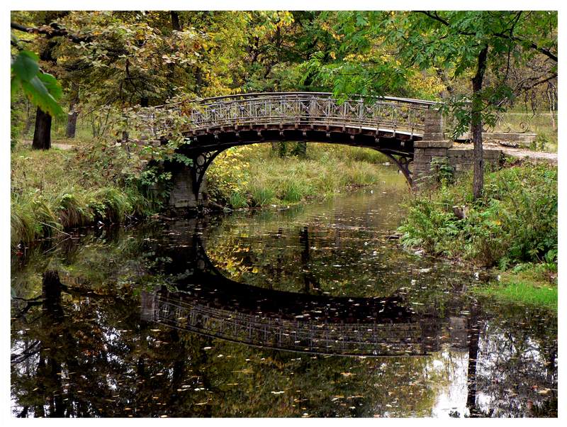 Bridge in park