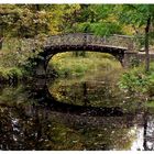 Bridge in park