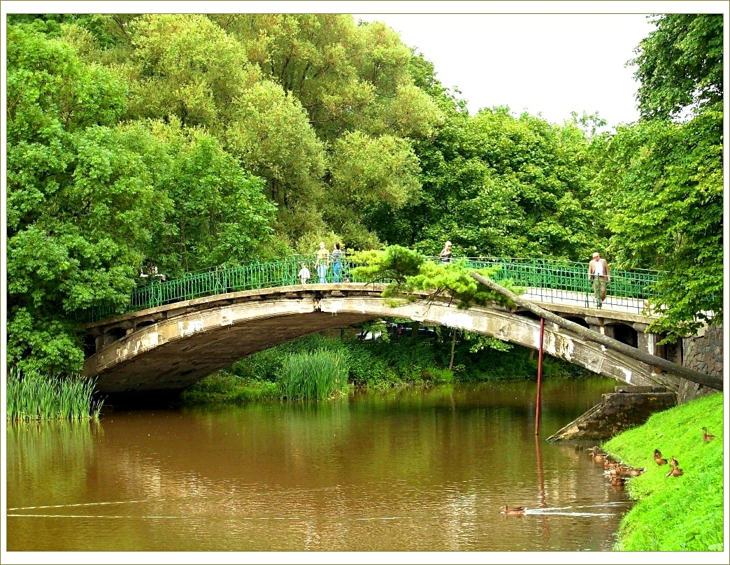 Bridge in Park Kasprowicza