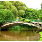 Bridge in Park Kasprowicza