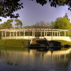 Bridge in Saavedra´s park