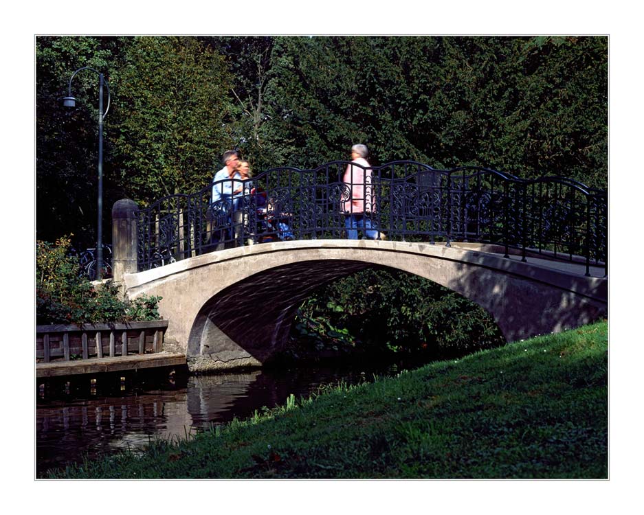 Bridge in the citizen park