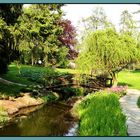 Bridge in the Garden