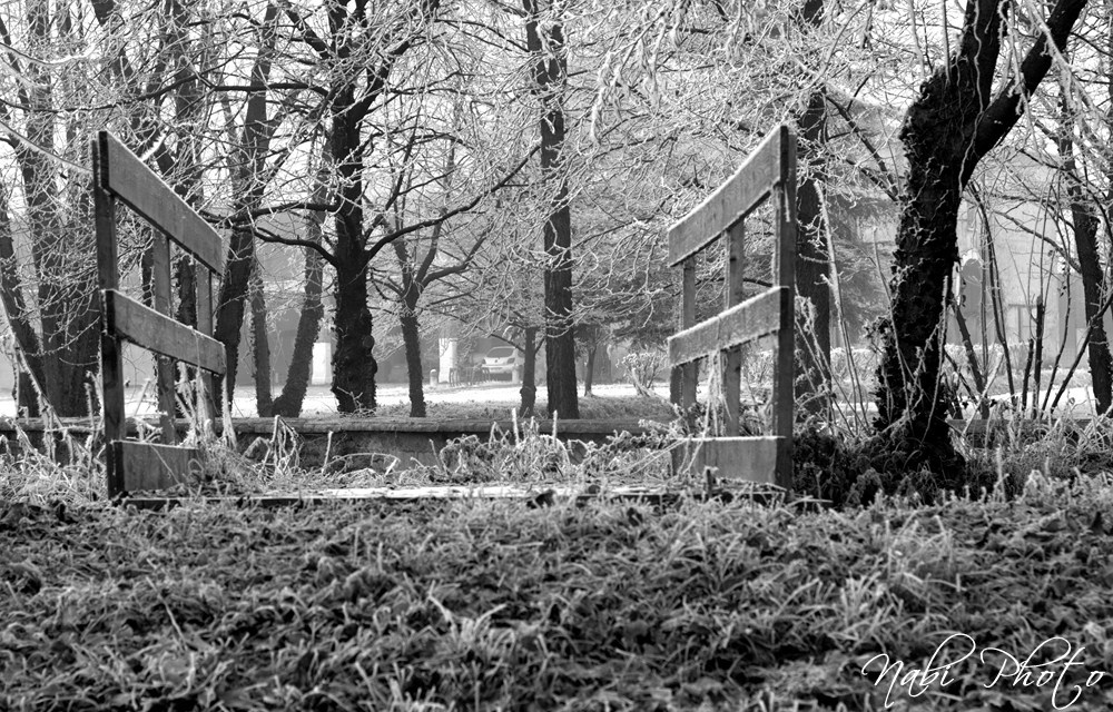 Bridge in the ice