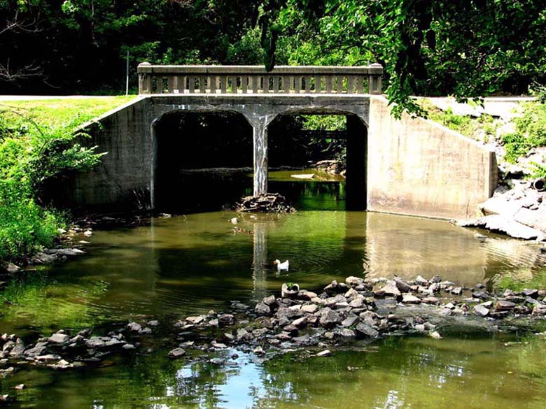 Bridge In The Park