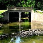 Bridge In The Park