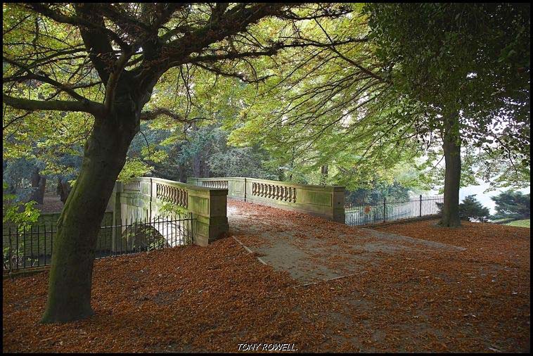 BRIDGE IN THE SHADE.