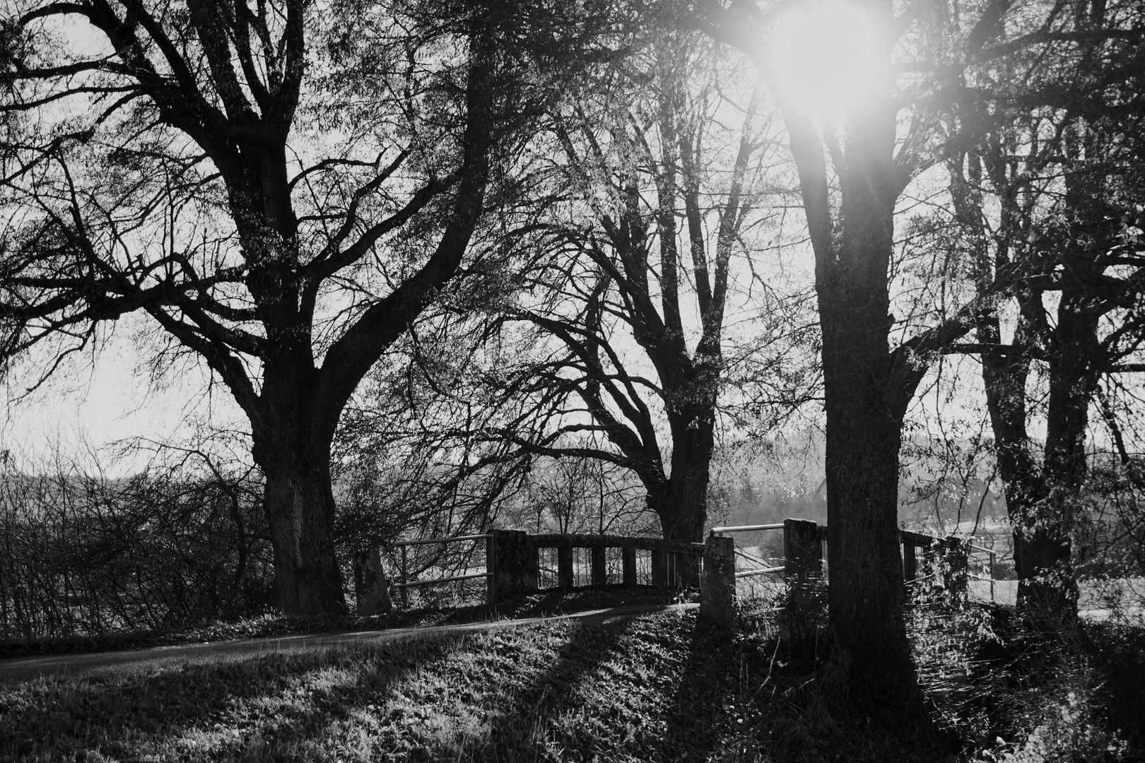 Bridge into the Light