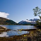 Bridge of Coe Schottland