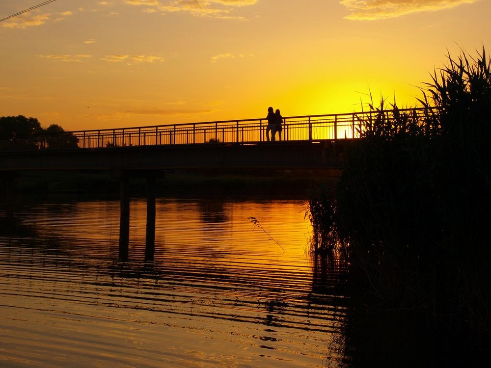 Bridge of love