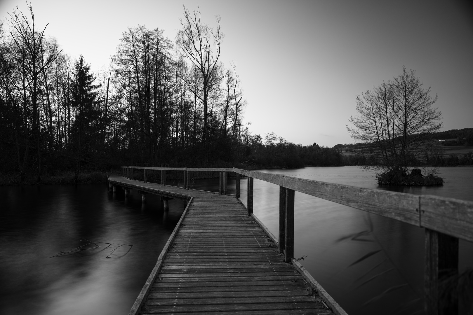 Bridge of nature