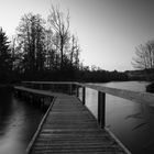 Bridge of nature