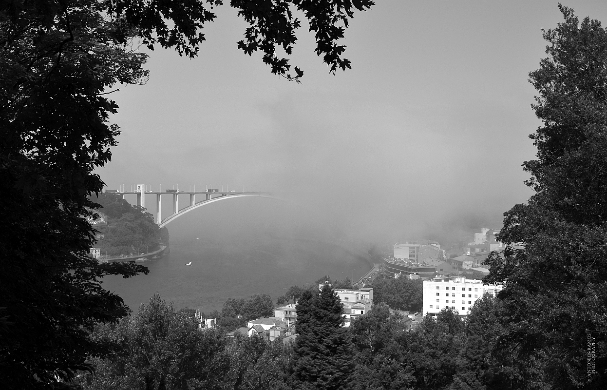 Bridge of the Arrábida