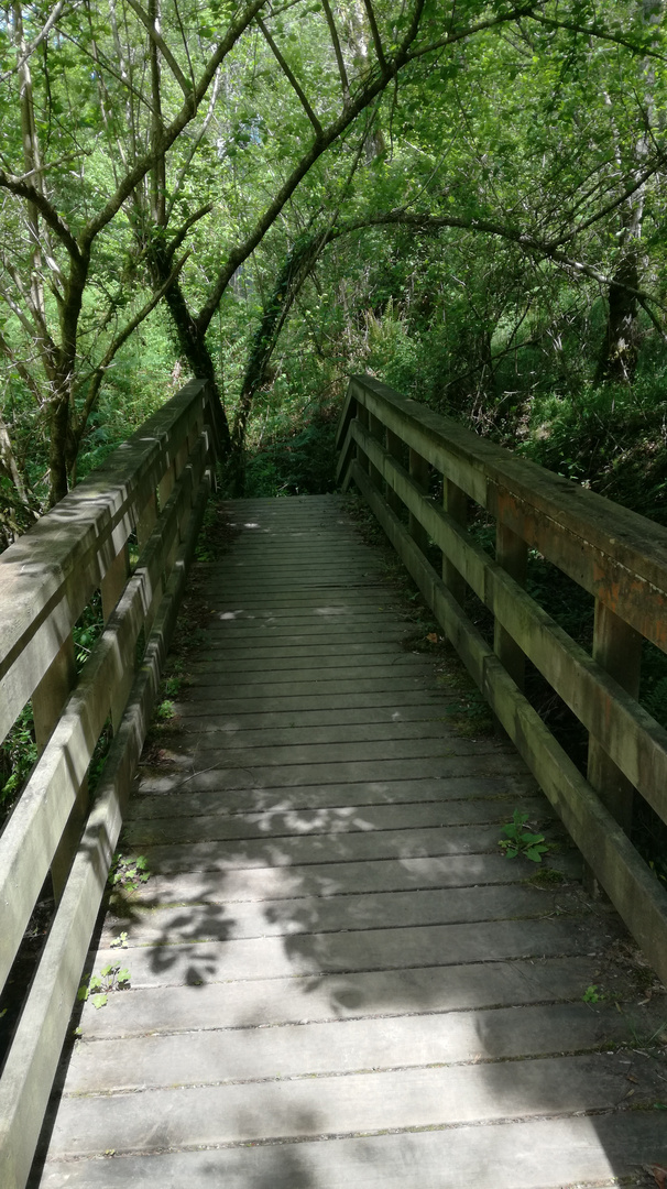 Bridge of the history