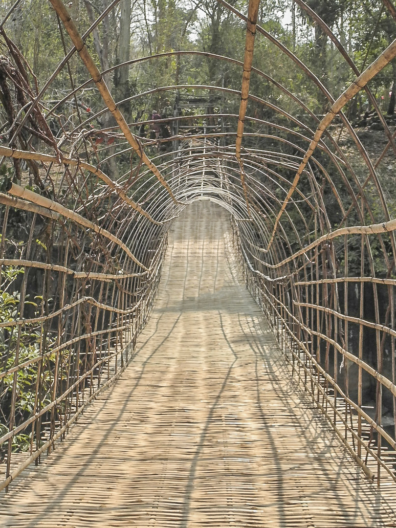 Bridge (!) on Tad Paxuan waterfall -Laos