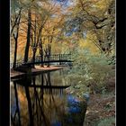 Bridge over Autumn Waters (Sandwich)