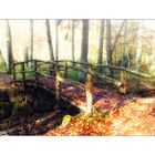 Bridge over empty Bachlauf