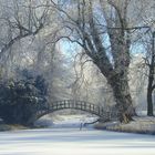 bridge over icy water