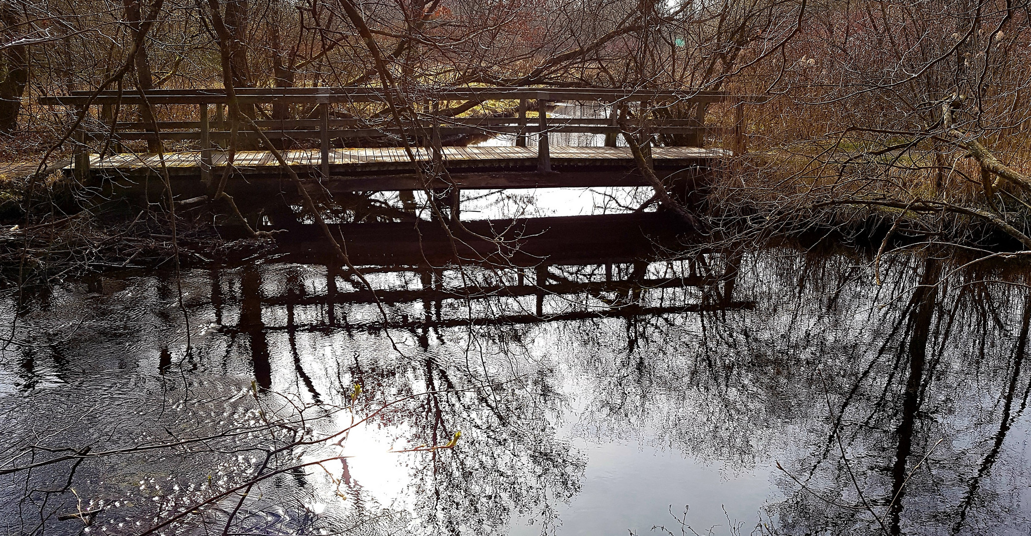 Bridge Over Peaceful Water