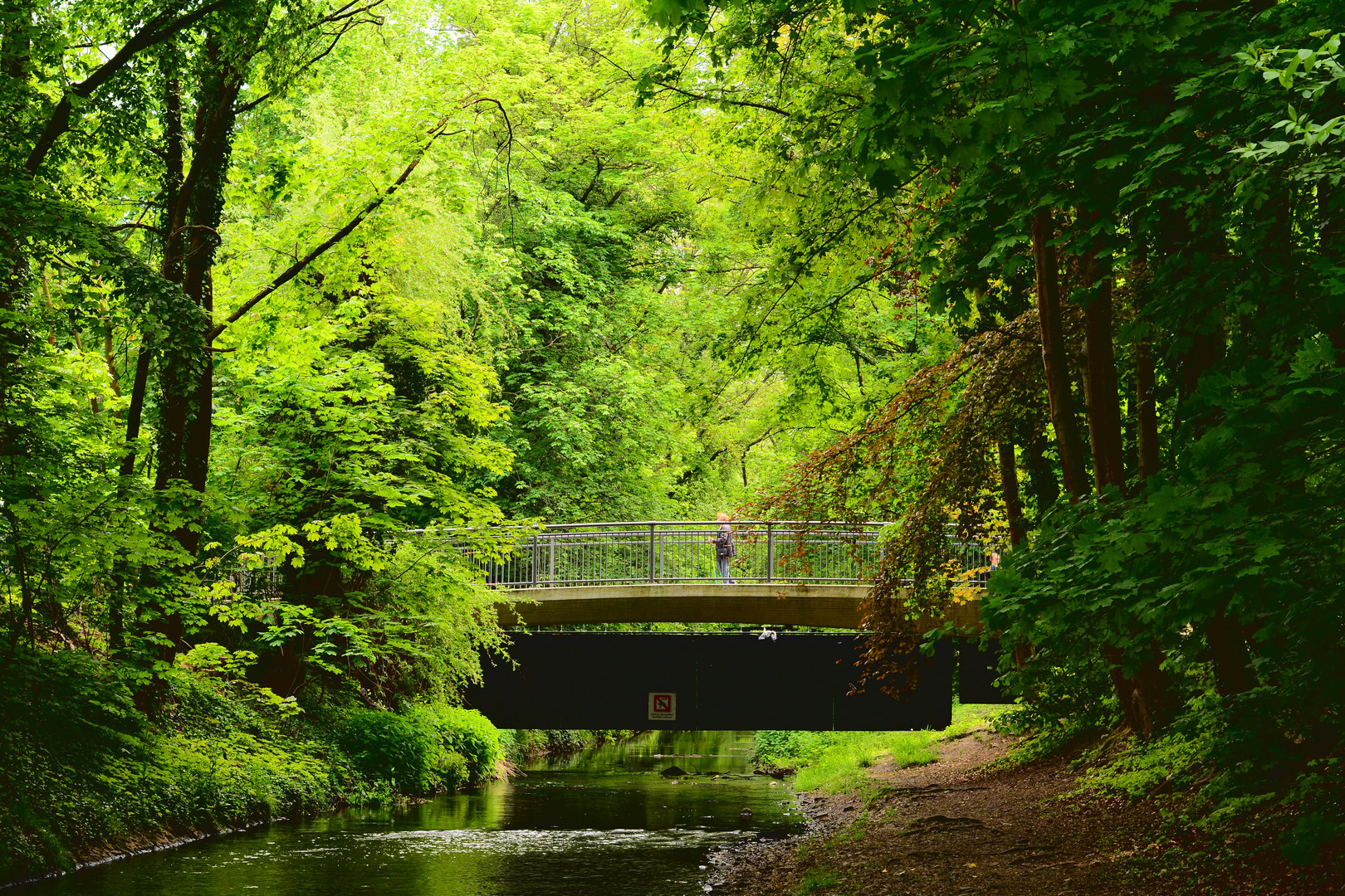 Bridge over quiet waters