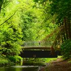 Bridge over quiet waters