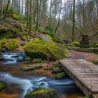 Bridge over silent water