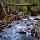 bridge over small river in the forest